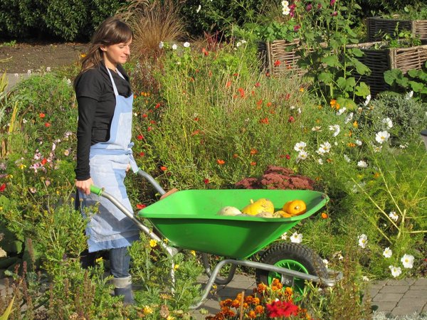 Les jardins thérapeutiques pour un bien-être physique et mental positif