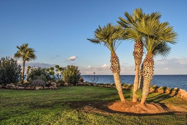 Comment concevoir un plan de jardin qui convient à votre terrain, à votre budget et à vos envies ?