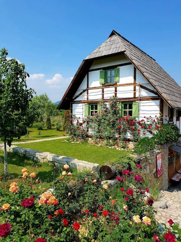 Comment choisir les plantes, les fleurs et les arbres qui conviennent à votre climat, votre sol et votre style ?