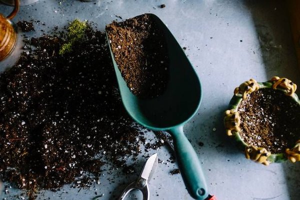 Comment entretenir votre jardin en toute saison