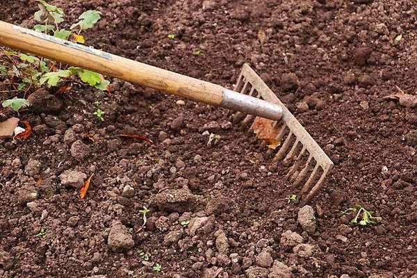 Comment Préparer Votre Jardin à l'Arrivée des Différentes Saisons ?