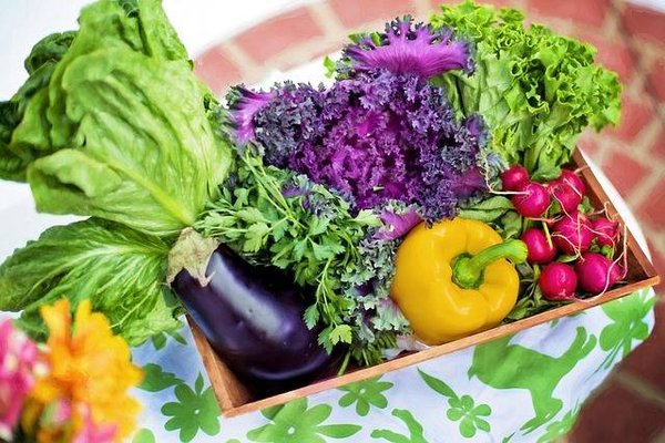 Comment récolter, conserver et utiliser vos fruits, vos légumes et vos fleurs ?