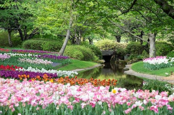 Comment choisir les fleurs adaptées à votre sol, votre climat et votre exposition ?