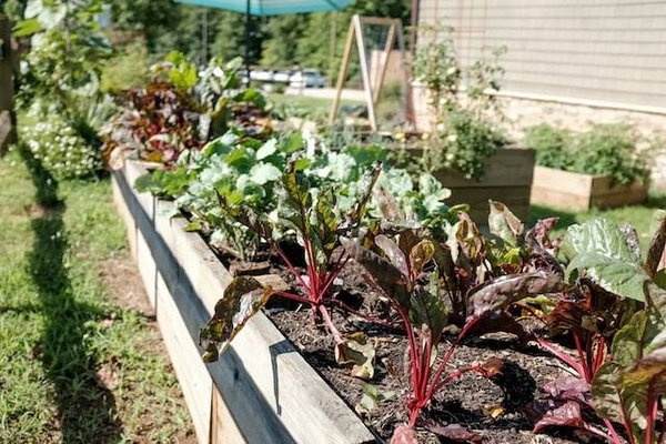 Comment fabriquer des objets avec de la récupération et des éléments naturels ?