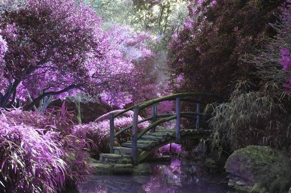 Votre jardin sur mesure avec un paysagiste de la côte Basque