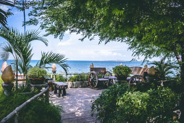 Concevoir un jardin avec une plancha électrique
